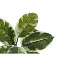 Syemin Artificial Plant Evergreen Tree Indoor Faux Fake Floor Greenery Potted Decorative Green Leaves Black Pot, Green, 35"*31"*42" -Furniture GUEST 082252ea 9d75 4476 815e 633e2b7c55f1