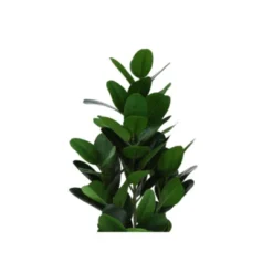 Syemin Artificial Plant Garcinia Tree Indoor Faux Greenery Potted Real Touch Decorative Green Leaves Black Cement Pot, Green, 15.5"*12"*28" 7 Syemin Artificial Plant Garcinia Tree Indoor Faux Greenery Potted Real Touch Decorative Green Leaves Black Cement Pot, Green, 15.5"*12"*28" -Furniture GUEST 0b7b0fa1 e013 4aec 9387 25485f7a39e9