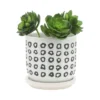 Syemin Planters Planter With Saucer, Decorative Plant Pots For Living Room, Garden, Balcony, Home Decor, White 6"*6"*5.75"