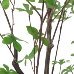 Syemin Artificial Plant Artificial Disc Leaf Tree Indoor Floor Greenery Potted Real Touch Decorative Black Pot, Green, 35.4"*35.4"*70.9" -Furniture GUEST 3302d51d ad1c 464f bc68 969c88fbb083