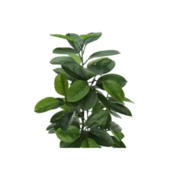 Syemin Artificial Plant Rubber Tree Indoor Faux Fake Floor Greenery Potted Real Touch Decorative Green Leaves Black Pot, Green, 27"*25"*52" 7 Syemin Artificial Plant Rubber Tree Indoor Faux Fake Floor Greenery Potted Real Touch Decorative Green Leaves Black Pot, Green, 27"*25"*52" -Furniture GUEST 3f6d6e39 8a1c 40c3 a3be e11a5085c3de