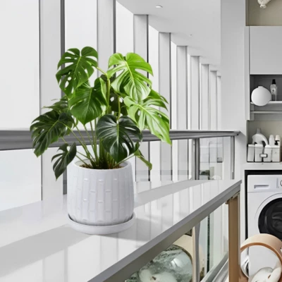 Syemin Planters Set Of 2 Ceramic Flowerpot, Indoor And Outdoor Modern Decorative Round Planter For Patio, Garden, White, 7.87"*7.87"*7.09" 1 Syemin Planters Set Of 2 Ceramic Flowerpot, Indoor And Outdoor Modern Decorative Round Planter For Patio, Garden, White, 7.87"*7.87"*7.09"