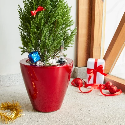 Syemin Planters Smart Self-watering Planter Pot For Indoor And Outdoor Round Cone, Garden Decor, Decorative Plant Pots, Balcony, Red 3"*11"*11" 5 Syemin Planters Smart Self-watering Planter Pot For Indoor And Outdoor Round Cone, Garden Decor, Decorative Plant Pots, Balcony, Red 3"*11"*11" - Image 5