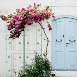 Syemin Patio Decorative Screens, Iron Arch Decoration Garden Trellis, For Outdoor For Climbing Plants Support, Flowerbed, Green, 40"*19.7"*86.7"