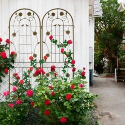 Syemin Patio Decorative Screens, Iron Arch Decoration Garden Trellis, For Outdoor For Climbing Plants Support, Flowerbed, Brown, 40"*19.7"*71" 7 Syemin Patio Decorative Screens, Iron Arch Decoration Garden Trellis, For Outdoor For Climbing Plants Support, Flowerbed, Brown, 40"*19.7"*71" -Furniture GUEST b6472199 98f2 46d7 a27e a86efe7cf192