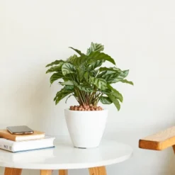 Syemin Planters Smart Self-watering Planter Pot For Indoor And Outdoor Round Cone, Garden Decor, Decorative Plant Pots, Balcony, White 11"*11"*10.5" -Furniture GUEST c133c0d4 686d 42ce 8866 e5e26b562f88