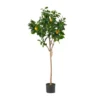 Syemin Artificial Plant Artificial Lemon Tree Indoor Faux Fake Table Greenery Potted Real Touch Decorative Green Leaves Black Pot, Green, 27"*27"*59"