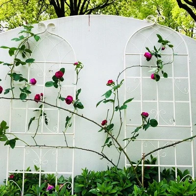 Syemin Patio Decorative Screens, Iron Arch Decoration Garden Trellis, For Outdoor For Climbing Plants Support, Flowerbed, White, 80"*19.7"*71" 5 Syemin Patio Decorative Screens, Iron Arch Decoration Garden Trellis, For Outdoor For Climbing Plants Support, Flowerbed, White, 80"*19.7"*71" - Image 5