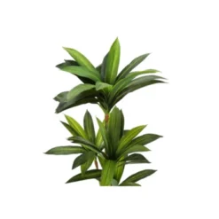 Syemin Artificial Plant Dracaena Tree Indoor Faux Fake Floor Greenery Potted Real Touch Decorative Black Pot, Green, 23.5"*23.5"*51.25" -Furniture GUEST ffb1a69d 50ca 4d2d adaa f38f30d297d8